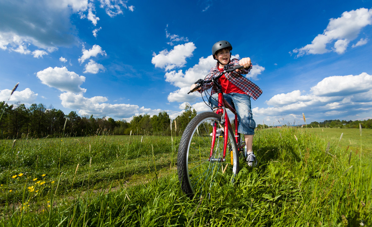 E-Biken und Radfahren in Wien, Wien Umgebung und dem Wienerwald